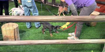 QOTD: What Auto-Show Side Activity Do You Enjoy?