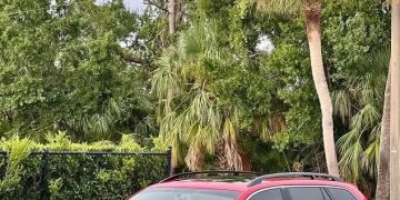 Used Car Of The Day: 2014 Volkswagen Jetta SportWagen TDI